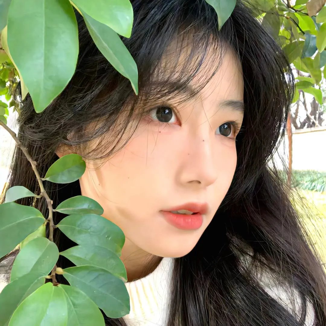 眼之壁